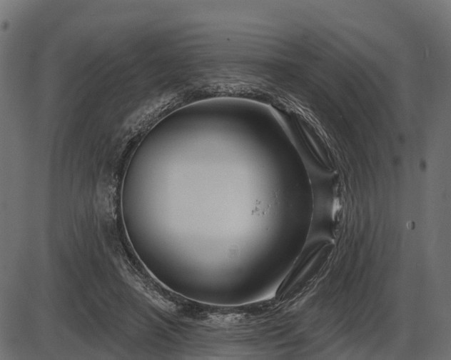 X0000086300450200704091025