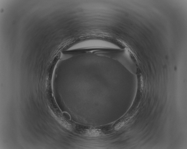 X0000086300451200704091025