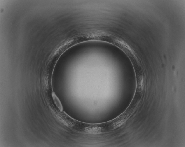 X0000086300452200704091025