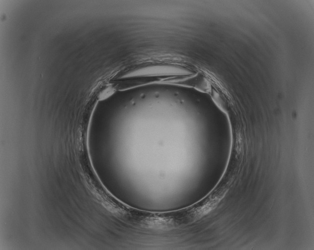 X0000086300453200704091025