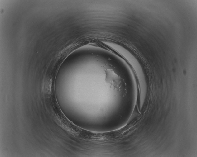 X0000086300454200704091025