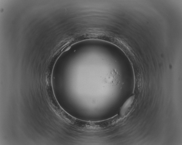 X0000086300455200704091025