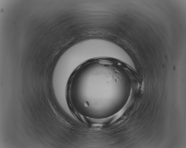 X0000086300456200704091025