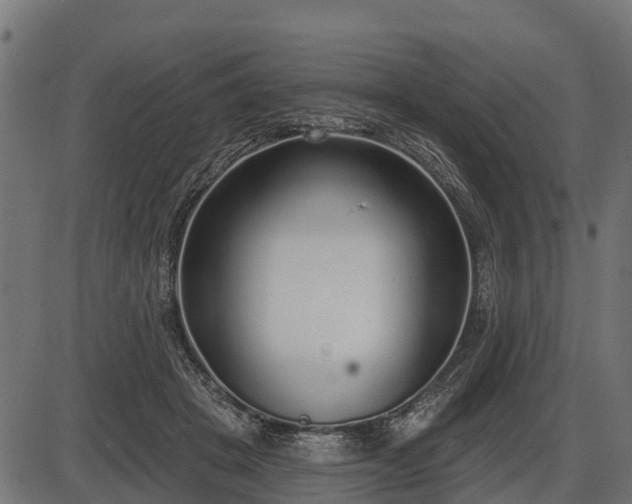 X0000086300457200704091025