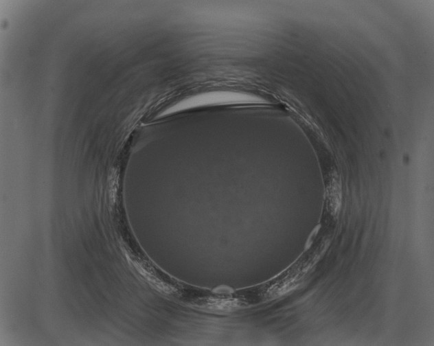 X0000086300458200704091025