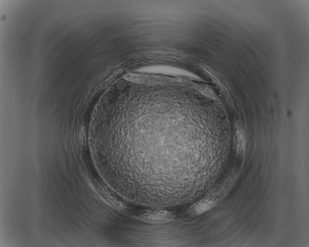 X0000086300459200704091025