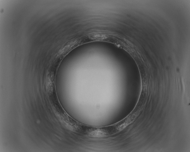 X0000086300460200704091025