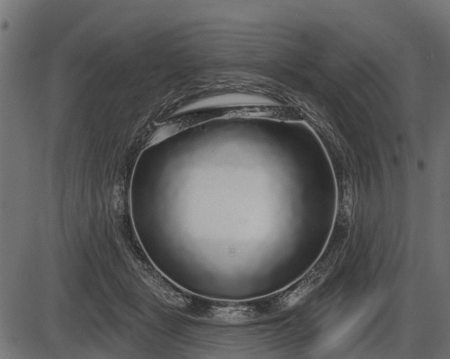 X0000086300461200704091026