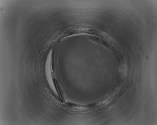 X0000086300462200704091026