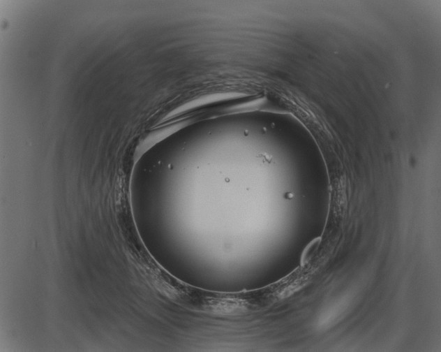 X0000086300463200704091026