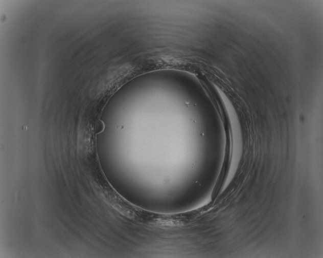 X0000086300464200704091026