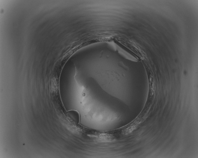 X0000086300467200704091026