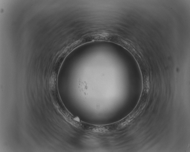 X0000086300468200704091026