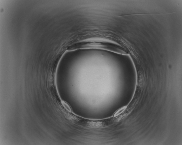 X0000086300469200704091026