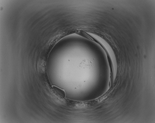 X0000086300470200704091026