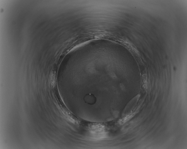 X0000086300471200704091026