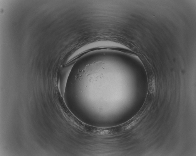 X0000086300472200704091026