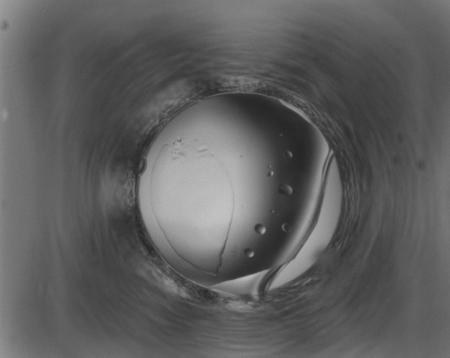 X0000086300474200704091026