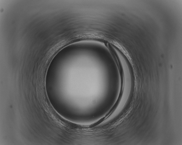 X0000086300481200704091025