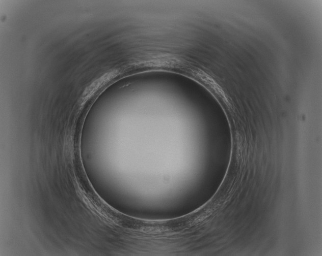 X0000086300482200704091025