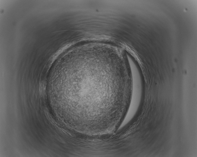 X0000086300483200704091025