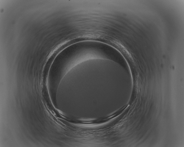 X0000086300484200704091025