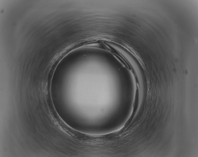 X0000086300485200704091025