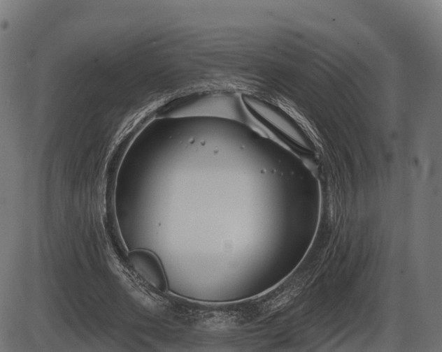 X0000086300486200704091025