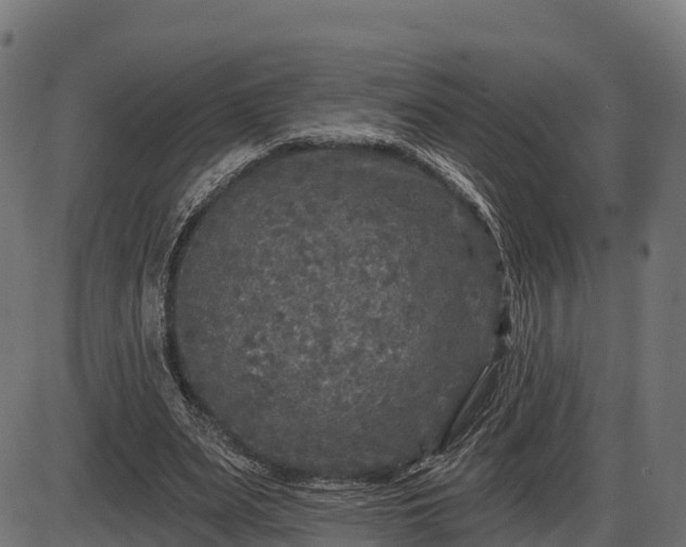 X0000086300487200704091025