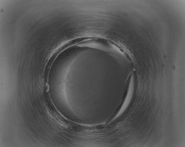 X0000086300488200704091025