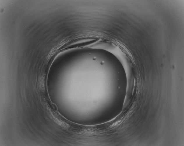 X0000086300489200704091025