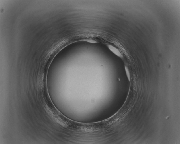 X0000086300490200704091025