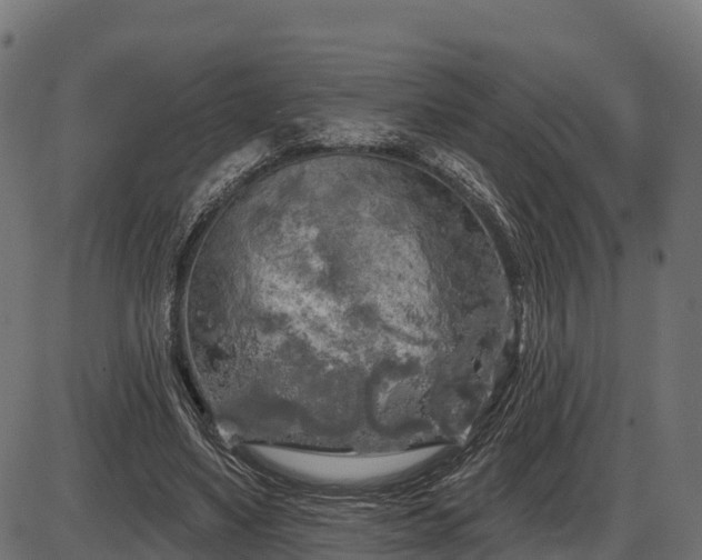 X0000086300491200704091025