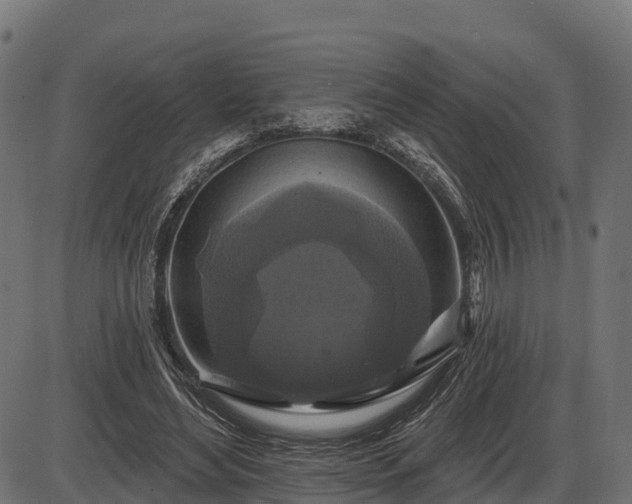 X0000086300492200704091025