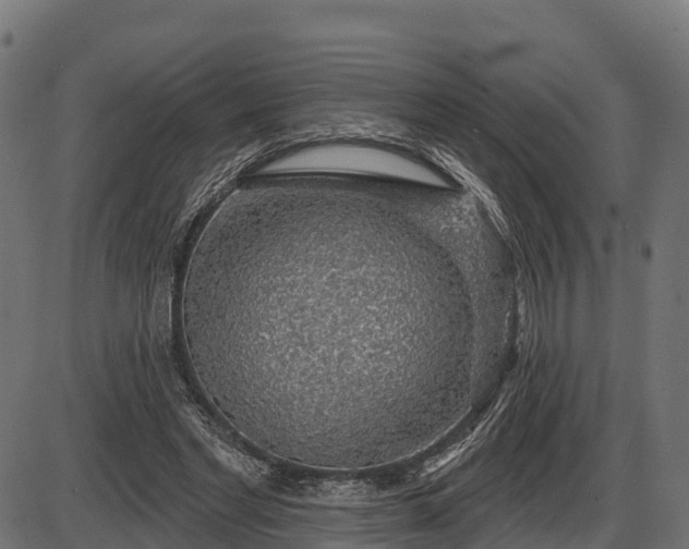 X0000086300493200704091025