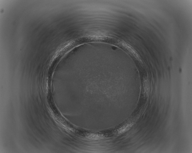 X0000086300494200704091025