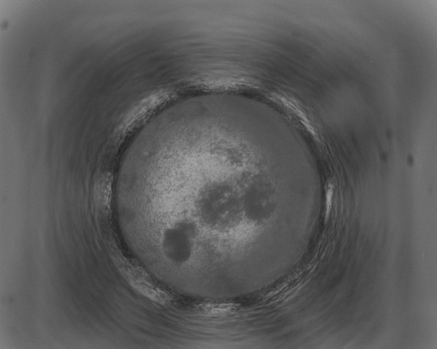 X0000086300495200704091025