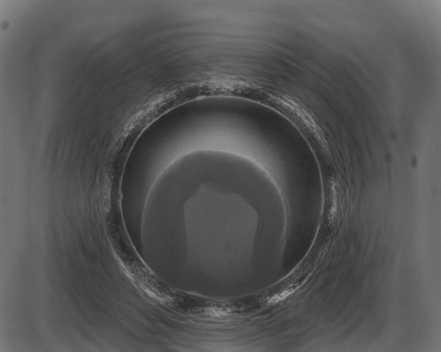 X0000086300496200704091025