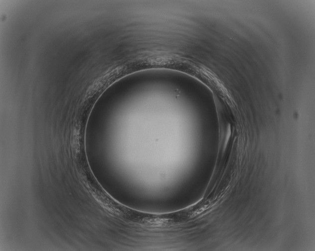 X0000086300497200704091025