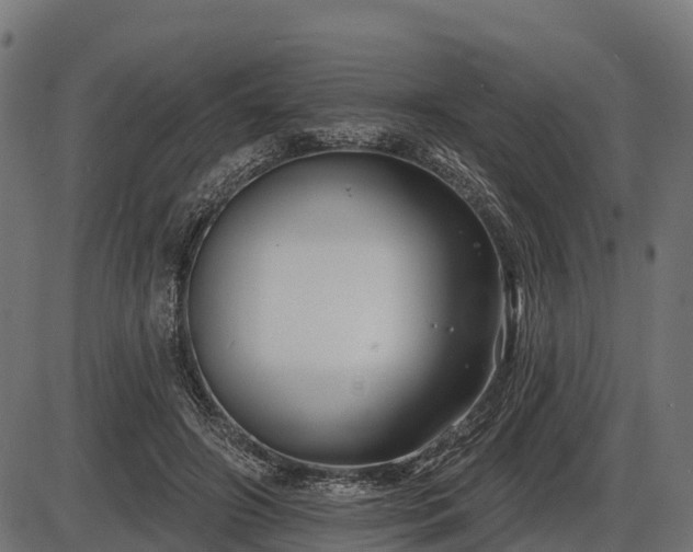 X0000086300498200704091025