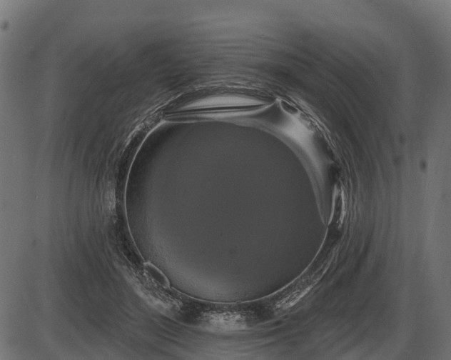 X0000086300500200704091025