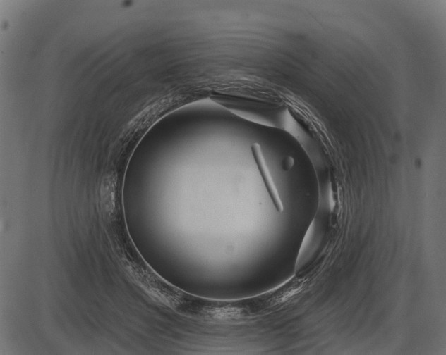 X0000086300501200704091025