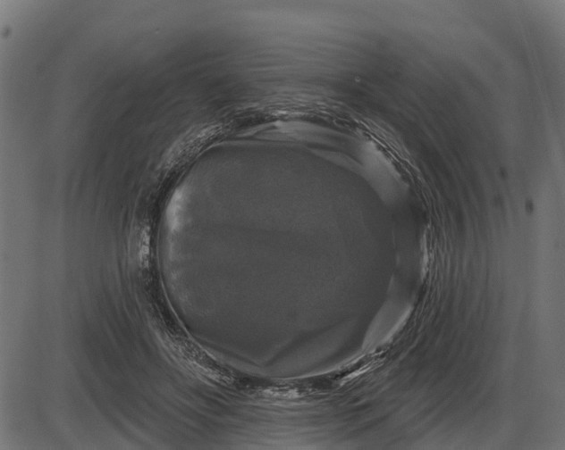 X0000086300502200704091025