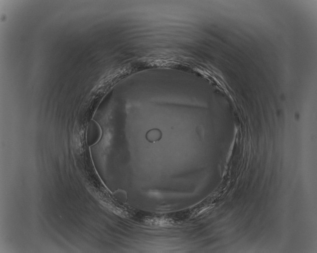 X0000086300503200704091025