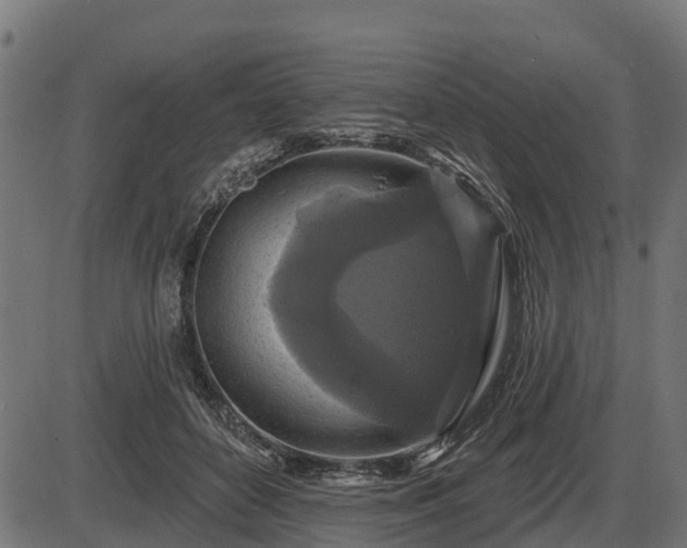 X0000086300504200704091025