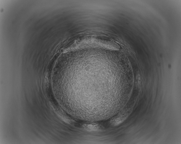 X0000086300506200704091025