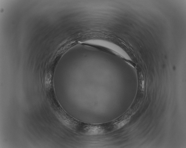 X0000086300507200704091025