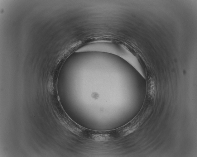 X0000086300508200704091025