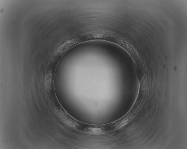 X0000086300509200704091025