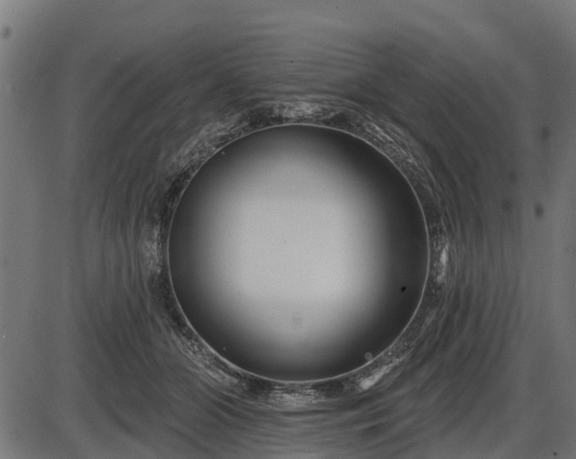 X0000086300510200704091025